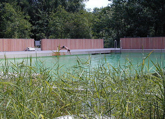 Freibad Biberstein System Bio-Teich